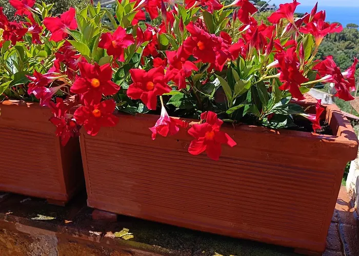 בית נופש Adriana