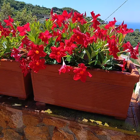 Дом отдыха Adriana